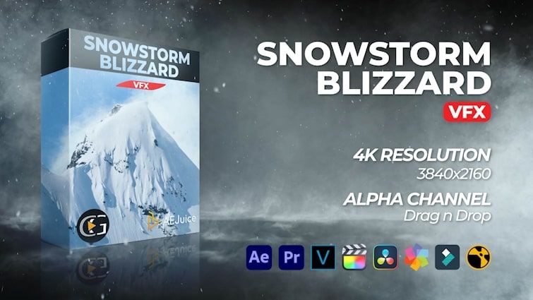 Snowstorm